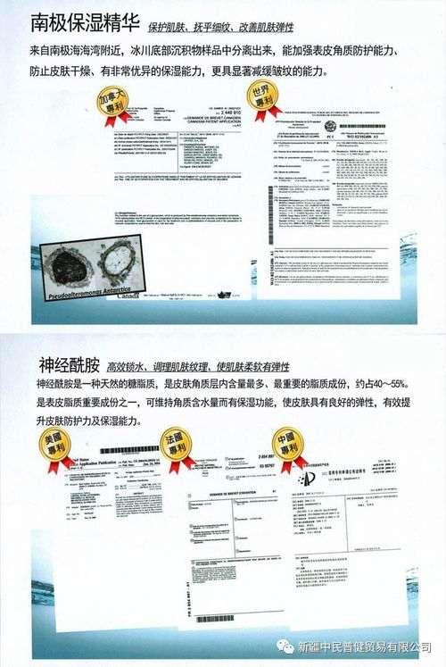 消費創客網攜手外匯110網 創新產品上線，賦能用戶投資消費新體驗